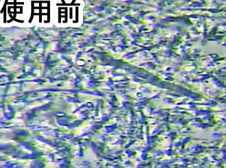 ゼオライト使用前